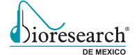 Bioresearch de México